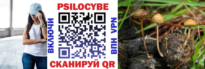 Галлюциногенные грибы мицелий Красноуфимск